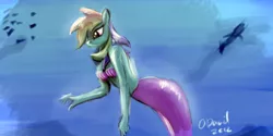 Size: 1024x510 | Tagged: safe, artist:duh-veed, derpibooru import, rainbow dash, anthro, mermaid, merpony, image, mermaid dash, midriff, png, seashell, shell bra, underwater