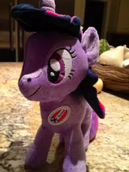 Size: 600x800 | Tagged: artist needed, derpibooru import, irl, photo, plushie, safe, twilight sparkle