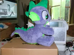 Size: 2048x1536 | Tagged: artist:caleighs-world, derpibooru import, irl, photo, plushie, safe, solo, spike, spike plushie