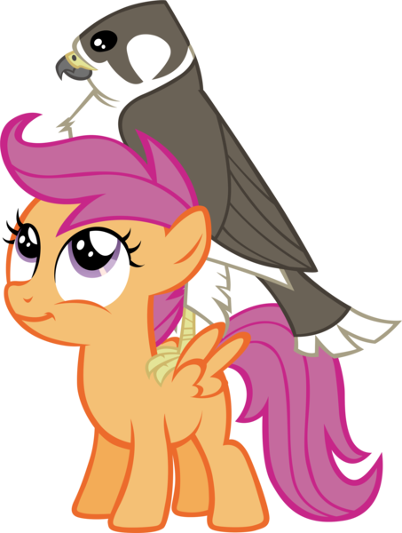 Size: 2615x3464 | Tagged: safe, artist:astringe, derpibooru import, scootaloo, bird, falcon, pegasus, pony, female, filly, peregrine falcon, pet, simple background, solo, transparent background, vector