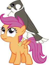 Size: 2615x3464 | Tagged: safe, artist:astringe, derpibooru import, scootaloo, bird, falcon, pegasus, pony, female, filly, peregrine falcon, pet, simple background, solo, transparent background, vector