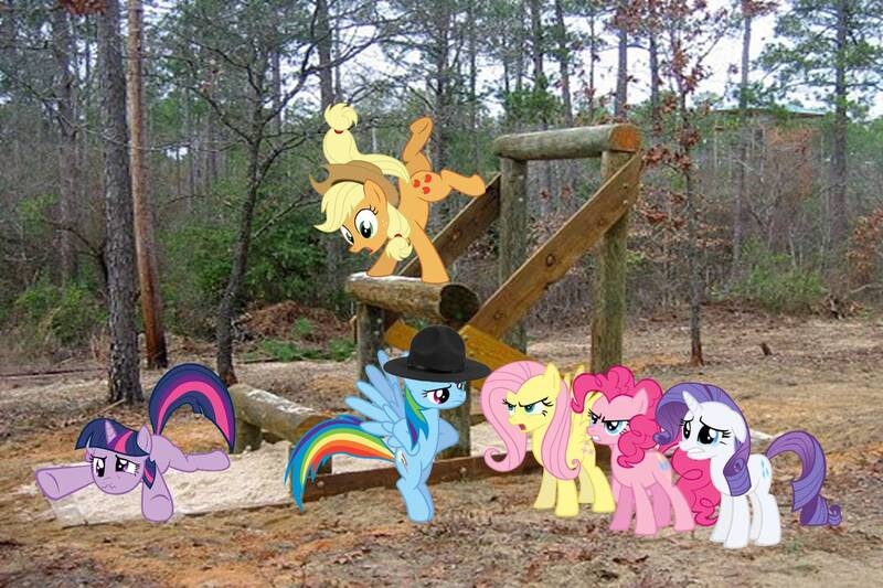 Size: 1440x960 | Tagged: safe, artist:dontae98, derpibooru import, applejack, fluttershy, pinkie pie, rainbow dash, rarity, twilight sparkle, pony, hat, irl, mane six, obstacle course, photo, ponies in real life, vector