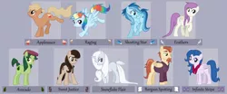 Size: 3442x1430 | Tagged: artist:kumkrum, derpibooru import, oc, oc:applesauce, oc:avocado, oc:bargain spotting, oc:feathers, oc:infinite stripe, oc:ragtag, oc:shooting star, oc:snowflake flair, oc:sweet justice, offspring, parent:rainbow dash, parent:soarin', parents:soarindash, safe, unofficial characters only