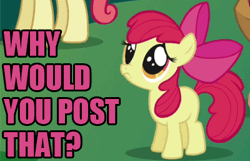 Size: 400x257 | Tagged: adorabloom, animated, apple bloom, cute, derpibooru import, image macro, ponibooru import, puppy dog eyes, reaction image, sad, safe, weapons-grade cute, why would you post that