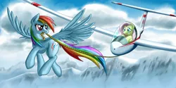 Size: 1600x800 | Tagged: artist:pyrestorm, derpibooru import, fluttershy, glider, rainbow dash, safe