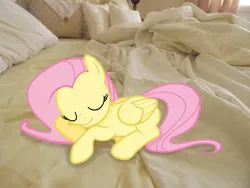 Size: 4288x3216 | Tagged: safe, artist:missbeigepony, artist:teiptr, derpibooru import, fluttershy, pegasus, pony, bed, eyes closed, irl, photo, ponies in real life, sleeping, smiling, solo, vector