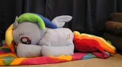 Size: 1024x560 | Tagged: artist:rawrsuitgirl, derpibooru import, irl, photo, plushie, rainbow dash, safe