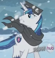 Size: 552x590 | Tagged: animation error, derpibooru import, safe, screencap, shining armor, snow goggles, the crystal empire, what is anatomy