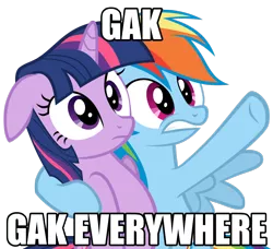 Size: 1280x1166 | Tagged: derpibooru import, gak, gak is back, meme, rainbow dash, safe, twilight sparkle, x x everywhere