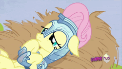 Size: 480x270 | Tagged: animated, derpibooru import, fluttershy, joust, jousting, out of context, rainbow dash, safe, screencap, smug, the crystal empire