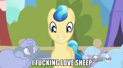 Size: 849x467 | Tagged: safe, derpibooru import, ivory, ivory rook, crystal pony, pony, sheep, ewe, grin, happy, image macro, smiling, squee, tiny ewes, vulgar