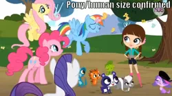 Size: 854x479 | Tagged: safe, derpibooru import, fluttershy, pinkie pie, rainbow dash, rarity, dog, gecko, hedgehog, human, mongoose, panda, pony, skunk, back of head, blythe baxter, comparison, crossover, height, littlest pet shop, penny ling, pepper clark, russell ferguson, size comparison, sunil nevla, twilight barkle, vinnie terrio, zoe trent