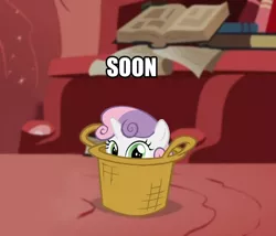 Size: 712x610 | Tagged: safe, derpibooru import, sweetie belle, pony, unicorn, basket, book, female, filly, golden oaks library, looking at you, peeking, pony in a basket, silly, silly pony sweetie belle, solo, soon