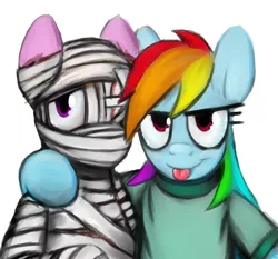 Size: 3000x2800 | Tagged: artist:gordonfreeguy, bandage pony, bandy, bandydash, derpibooru import, hard knocks, rainbow dash, safe