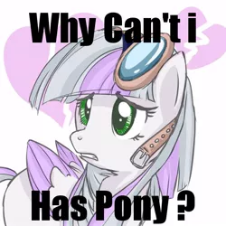 Size: 600x600 | Tagged: artist needed, source needed, useless source url, safe, artist:starlightspark, derpibooru import, oc, oc:starlight spark, unofficial characters only, pegasus, pony, colored wings, colored wingtips, frown, goggles, gritted teeth, i can has, image macro, sad, solo