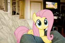 Size: 1000x667 | Tagged: safe, artist:ilovemyipod098, derpibooru import, fluttershy, human, pony, c:, couch, cute, irl, leaning, looking at you, photo, ponies in real life, prone, smiling, television, vector