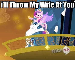 Size: 1042x844 | Tagged: all new, derpibooru import, edit, edited screencap, epic wife tossing, fastball special, hub logo, image macro, princess cadance, reaction image, safe, screencap, shining armor, text