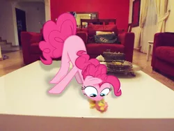 Size: 4288x3216 | Tagged: safe, artist:missbeigepony, derpibooru import, fluttershy, pinkie pie, pony, couch, irl, photo, ponies in real life, toy, vector