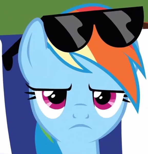 Size: 641x667 | Tagged: derpibooru import, rainbow dash, safe, screencap, sunglasses, too many pinkie pies, unamused