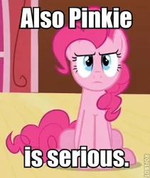 Size: 323x382 | Tagged: safe, derpibooru import, editor:eden89, screencap, pinkie pie, earth pony, pony, too many pinkie pies, cropped, female, image macro, mare, serious, solo