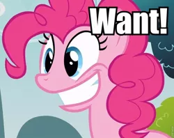 Size: 756x600 | Tagged: safe, derpibooru import, edit, edited screencap, editor:eden89, screencap, pinkie pie, pony, too many pinkie pies, female, grin, image macro, mare, smiling, solo, want