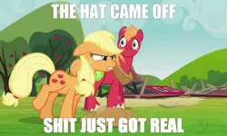 Size: 1341x802 | Tagged: safe, derpibooru import, edit, edited screencap, screencap, applejack, big macintosh, earth pony, pony, too many pinkie pies, duo, hat off, image macro, male, serious, stallion, vulgar