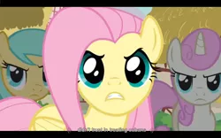 Size: 1024x640 | Tagged: derpibooru import, fluttershy, safe, screencap, sunshower raindrops, too many pinkie pies, twinkleshine, youtube caption