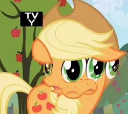 Size: 500x446 | Tagged: applejack, derpibooru import, faic, frown, great moments in animation, open mouth, safe, screencap, smear frame, solo, tv rating, wat
