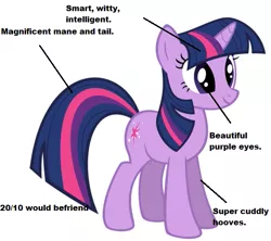 Size: 563x500 | Tagged: 10/10, analysis, best pony, derpibooru import, safe, truth, twilight sparkle