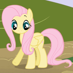 Size: 400x400 | Tagged: animated, cute, derpibooru import, fluttershy, friendship is magic, frown, horses doing horse things, looking down, pawing the ground, safe, screencap, shifty eyes, shy, shyabetes, solo