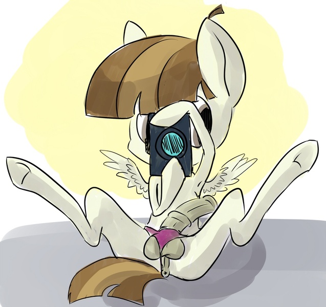 Size: 1061x1000 | Tagged: anus, balls, camera, clothes, derpibooru import, explicit, featherweight, foalcon, hooves, nudity, panties, penis, sketch, underwear, vagina