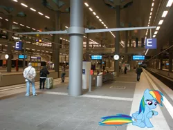 Size: 1000x750 | Tagged: safe, derpibooru import, rainbow dash, human, pony, germany, irl, photo, ponies in real life, train station, vector, waiting, watch