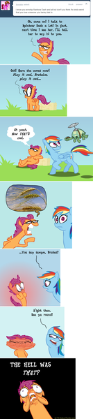 Size: 650x2912 | Tagged: artist:brutamod, ax brutaloo, brutaloo, derpibooru import, pun, rainbow dash, safe, scootaloo, tank