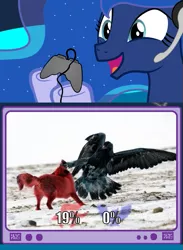 Size: 563x768 | Tagged: safe, derpibooru import, princess luna, pony, gamer luna, exploitable meme, gamer meme, meme, obligatory pony, photo, realistic, super smash bros., tv meme