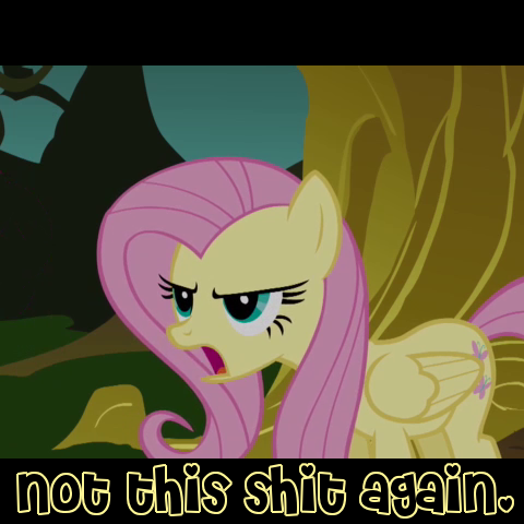 Size: 480x480 | Tagged: caption, derpibooru import, fluttershy, reaction image, safe, vulgar