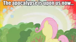 Size: 853x480 | Tagged: caption, derpibooru import, edit, edited screencap, female, filly, filly fluttershy, fluttershy, image macro, safe, screencap, solo, sonic rainboom, the cutie mark chronicles, younger