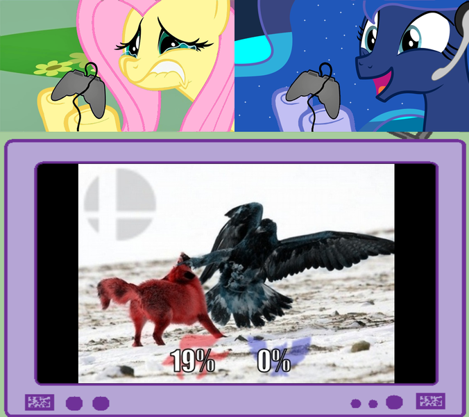 Size: 1126x1000 | Tagged: safe, derpibooru import, fluttershy, princess luna, pony, gamer luna, captain falcon, exploitable meme, f-zero, falcon kick, fluttercry, fox mccloud, gamer meme, gamershy, irl, meme, obligatory pony, star fox, super smash bros., tv meme