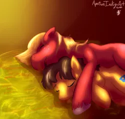 Size: 978x931 | Tagged: safe, artist:hoodoo, derpibooru import, big macintosh, caramel, earth pony, pony, caramac, cute, gay, male, shipping, sleeping, stallion