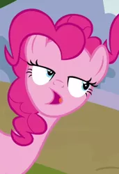 Size: 466x680 | Tagged: safe, derpibooru import, edit, edited screencap, screencap, pinkie pie, earth pony, pony, too many pinkie pies, clone, cropped, faic, female, lidded eyes, mare, offscreen character, pinkie clone, right angle mouth, solo focus, wat
