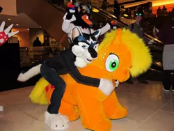 Size: 960x720 | Tagged: applejack, cosplay, derpibooru import, furry, fursuit, humping, irl, midwestfurfest, photo, quadsuit, seizure warning in comments, sex, suggestive