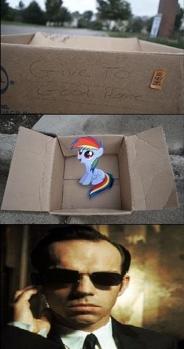 Size: 264x500 | Tagged: agent smith, dashie meme, derpibooru import, evil people finding dash meme, exploitable meme, fanfic:my little dashie, meme, rainbow dash, safe, the matrix