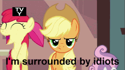 Size: 854x480 | Tagged: safe, derpibooru import, edit, edited screencap, screencap, apple bloom, applejack, scootaloo, sweetie belle, earth pony, pegasus, pony, unicorn, one bad apple, animated, annoyed, applejack is not amused, caption, chickun, cutie mark crusaders, female, filly, happy, i'm surrounded by idiots, jumping, mare, meme, reaction image, tv rating, tv-y