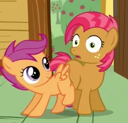 Size: 577x554 | Tagged: babscoot, babs seed, butt bump, butt to butt, butt touch, derpibooru import, grinding, one bad apple, out of context, safe, scootaloo, screencap, surprised, wingboner