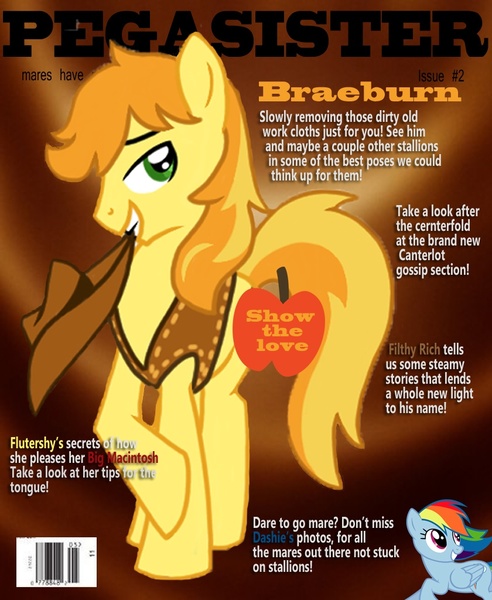 Size: 840x1024 | Tagged: suggestive, artist:w1kk3d, derpibooru import, braeburn, rainbow dash, pony, implied lesbian, male, pegasister, stallion, stupid sexy braeburn