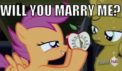 Size: 591x346 | Tagged: safe, derpibooru import, edit, edited screencap, screencap, scootaloo, sweetie belle, pony, one bad apple, apple timer, caption, duo, female, filly, foal, image macro, lesbian, marriage, marriage proposal, meme, scootabelle, shipping, stopwatch, sweetie gold, timer