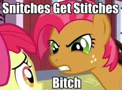 Size: 637x469 | Tagged: apple bloom, babs seed, derpibooru import, image macro, meme, one bad apple, safe, screencap, vulgar