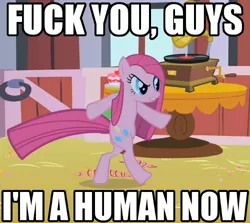 Size: 500x445 | Tagged: safe, derpibooru import, pinkie pie, pony, bipedal, image macro, pinkamena diane pie, vulgar, walking