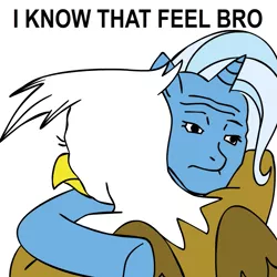 Size: 945x945 | Tagged: safe, derpibooru import, gilda, trixie, gryphon, unicorn, feels, hug, i know that feel bro, parody, reaction image, wojak