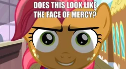 Size: 1906x1048 | Tagged: babs seed, derpibooru import, face, face of mercy, image macro, meme, one bad apple, safe, screencap