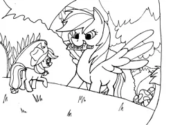 Size: 1206x870 | Tagged: suggestive, artist:juicefox, derpibooru import, applejack, rainbow dash, earth pony, pegasus, pony, appledash, appletini, blushing, female, lesbian, lube, mare, micro, monochrome, shipping